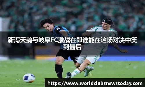 新泻天鹅与岐阜FC激战在即谁能在这场对决中笑到最后